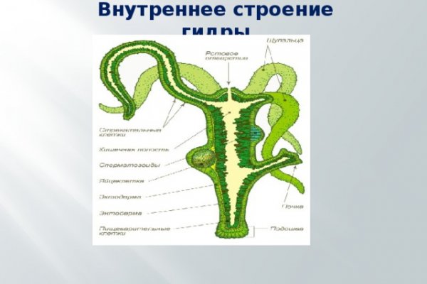 Кракен площадка kraken clear com