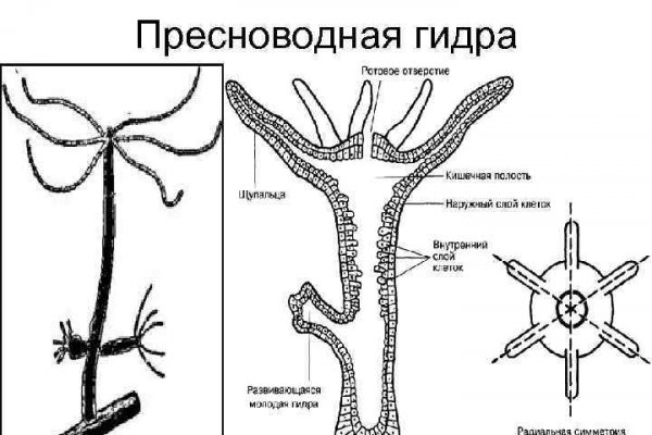 Площадка кракен kraken zerkalo