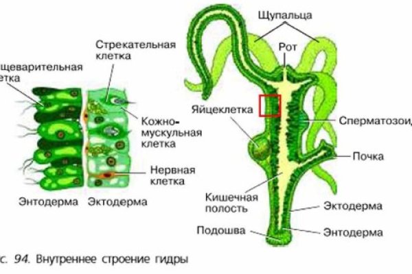 Кракен даркнет в тор