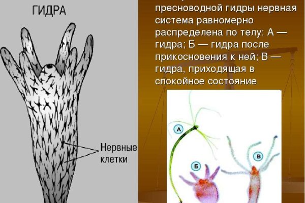 Актуальная ссылка на кракен в тор 2krnmarket
